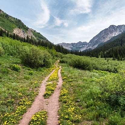 Hiking Trail in Crested Butte